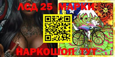 шишки Апшеронск