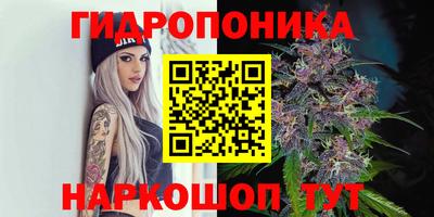 дмт Туймазы