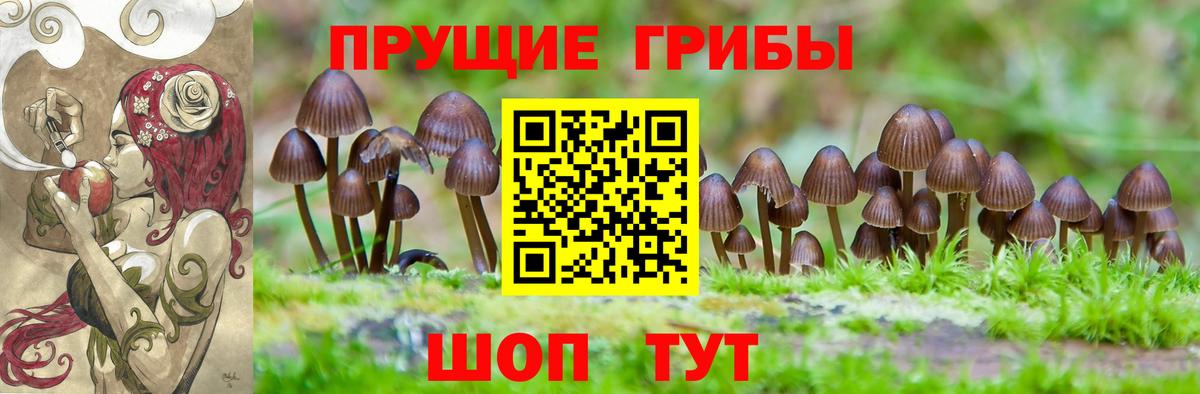 Нурлат  Галлюциногенные грибы Psilocybine cubensis  Вход с VPN  Псилоцибиновые грибы Magic Shrooms 